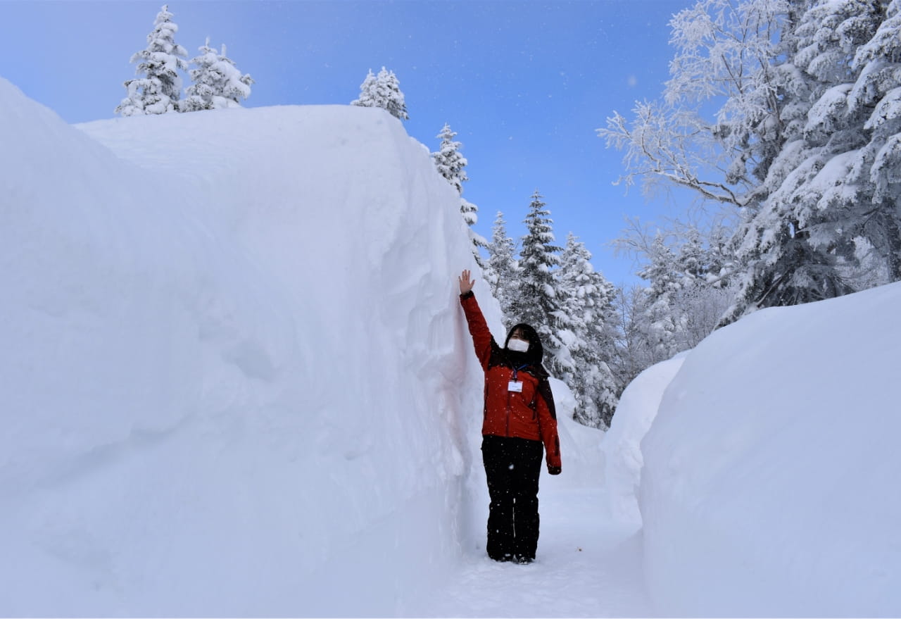 高さ2mほどの“雪の回廊