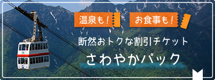 お得な割引チケット さわやかパック