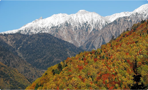雪景色から新緑に移り変わる山々