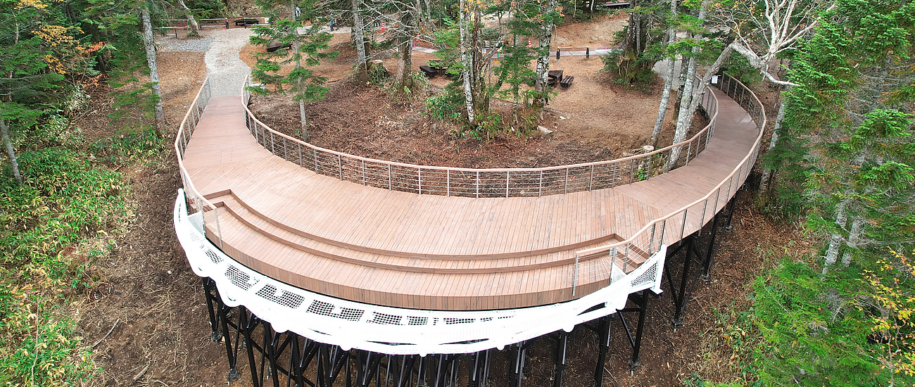 Shinhotaka Ropeway Continuously Evolving Takamine Forest at the Summit