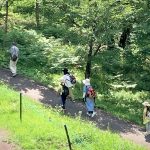 【鍋平高原自然散策路】　北アルプス「春/夏」の散策　　楽しいスタンプラリー