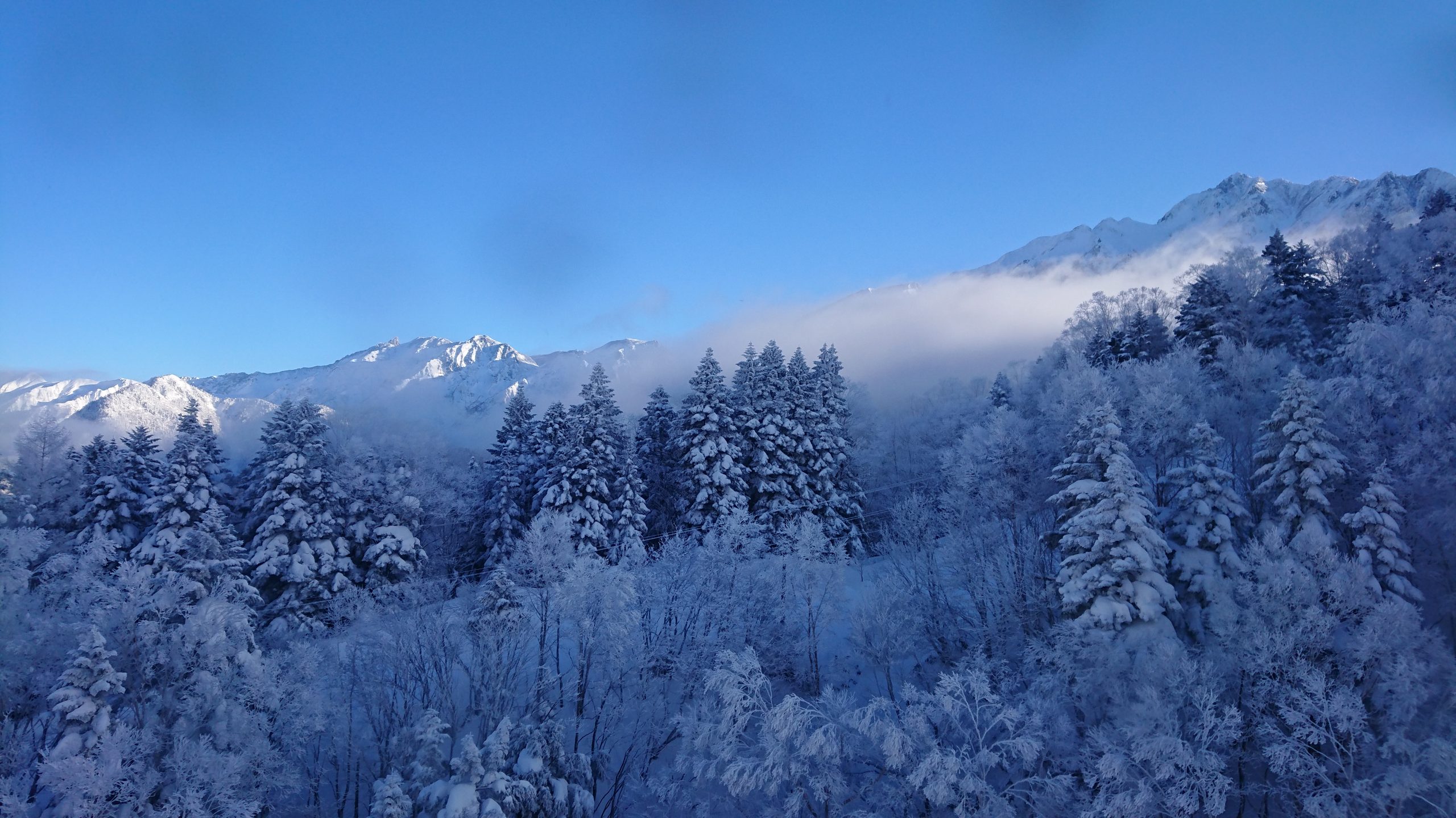 【冬】樹氷と穂高連峰