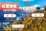 【2024.10.26現在】紅葉状況